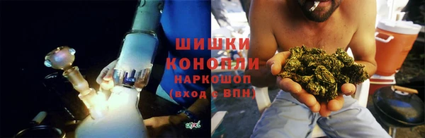 PSILOCYBIN Алексеевка