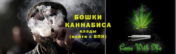 PSILOCYBIN Алексеевка
