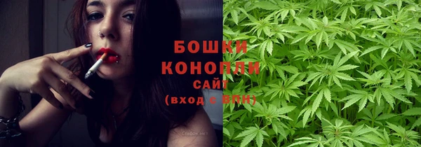 PSILOCYBIN Алексеевка